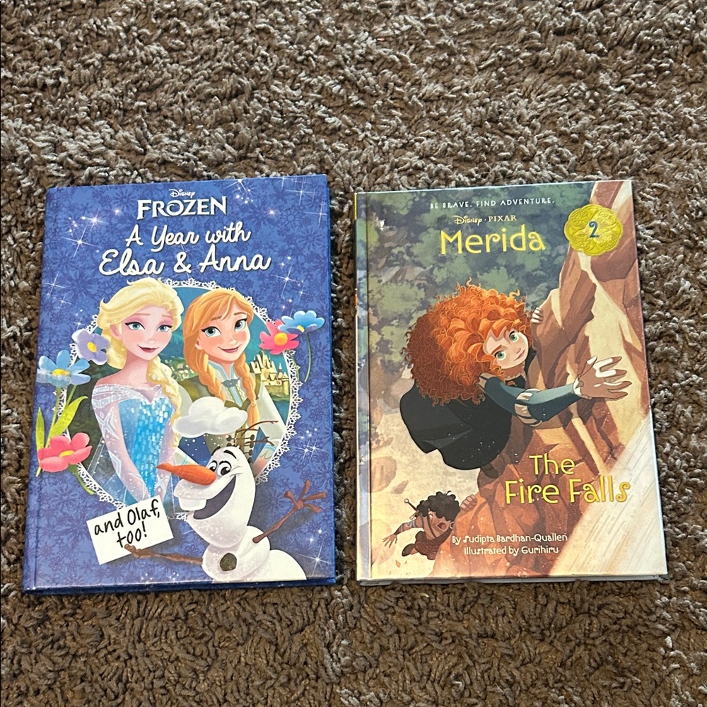 Disney Frozen and Merida Book in set